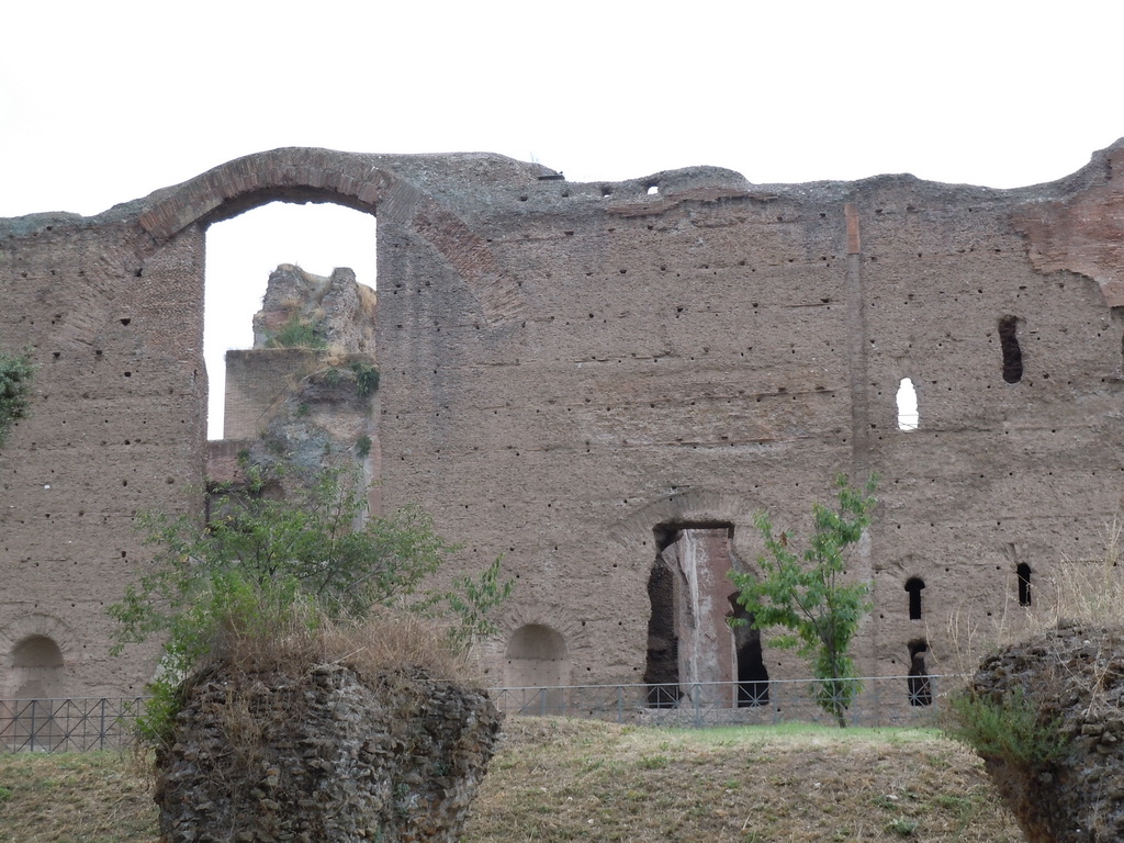 DSCN7902.JPG