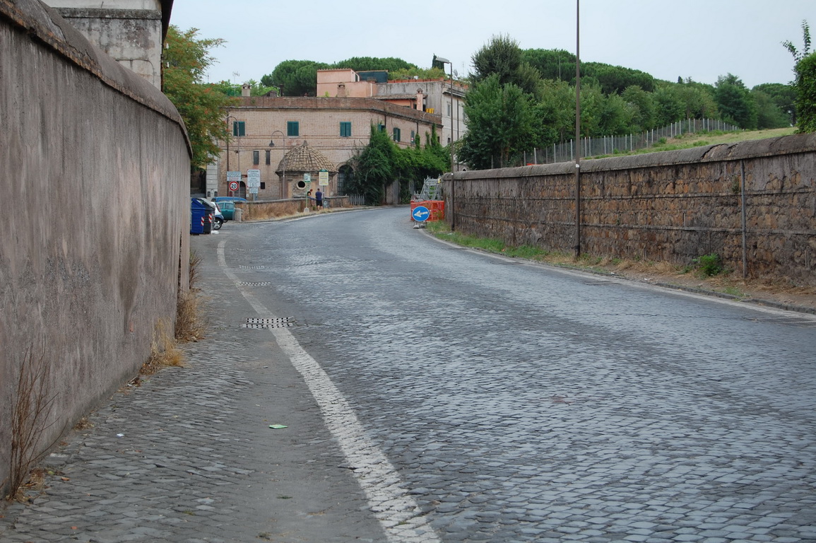 DSC_2990.JPG