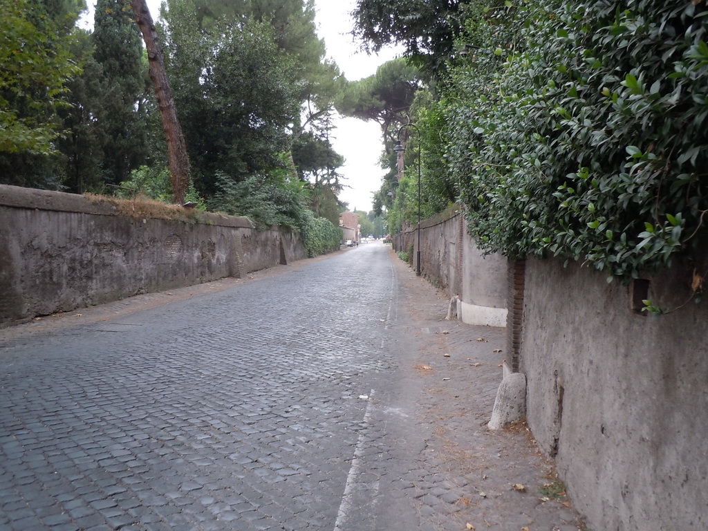 DSCN7900.JPG